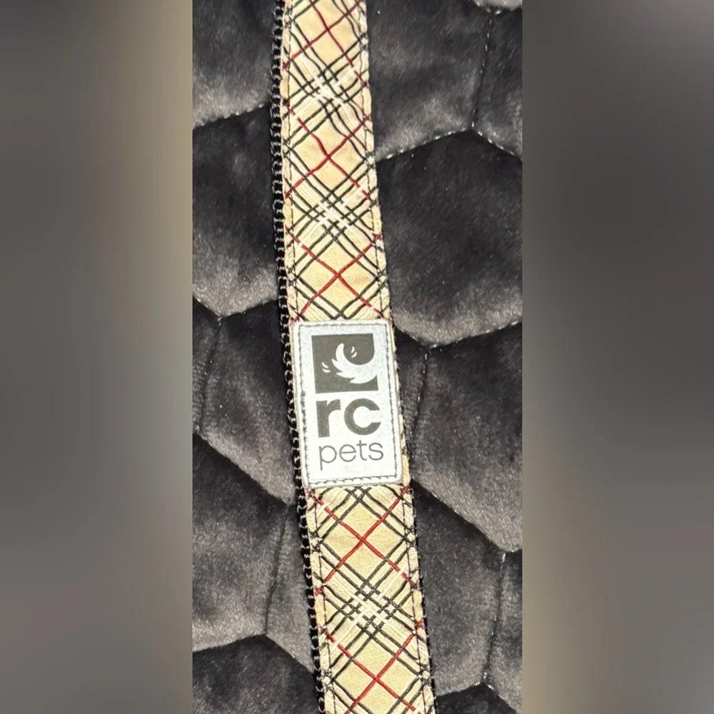 Dog Collar - Adjustable from 17” to 25”